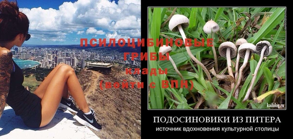 метамфетамин Белокуриха