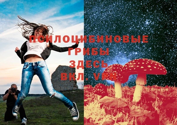 дмт Беломорск