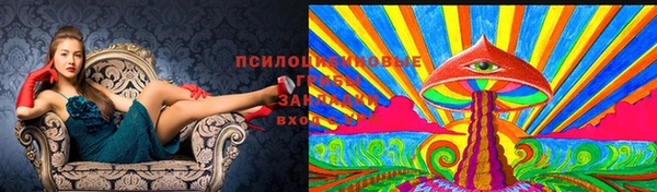 дмт Беломорск