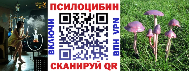 Галлюциногенные грибы мицелий дарнет шоп Ялуторовск